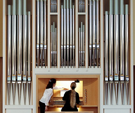 КОРОЛЬ ИНСТРУМЕНТОВ НА ЮГО-ЗАПАДЕ МОСКВЫ