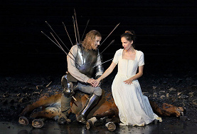 МЕЖДУ ГАЙДНОМ И ВАГНЕРОМ