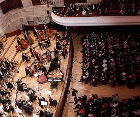 ТАМ, ГДЕ РАСТЕРЯЛИ МАЗУРКИ