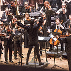 Фото Александры Муравьевой