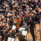 Фото Александры Муравьевой