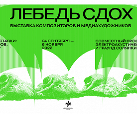 ЛЕБЕДЬ СДОХ. ЧТО ДАЛЬШЕ?