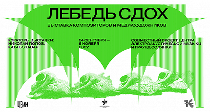 ЛЕБЕДЬ СДОХ. ЧТО ДАЛЬШЕ?