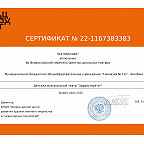 сертификат РЕЕСТРА Школьного театра