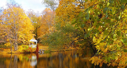 ДВА НЕОБЫЧНЫХ «ОНЕГИНА» И МНОГО ДРУГОЕ