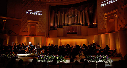 ВСЕ О ВИОЛОНЧЕЛИ