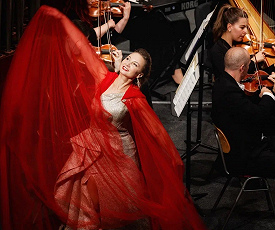 ПРИГЛУШЕННЫЕ ГОЛОСА