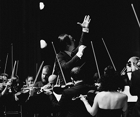 МЕЧТЫ НЕВИННЫХ