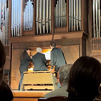 Шмитов за органом МЗ