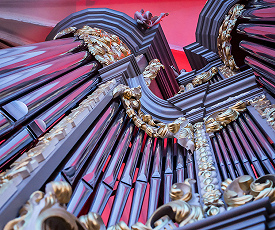 ТАЛАНТЫ ЖДУТ В КАЛИНИНГРАДЕ И КРАСНОЯРСКЕ