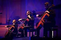 ВИОЛОНЧЕЛЬ И НЕ ТОЛЬКО